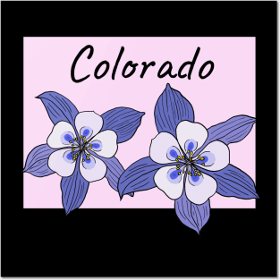 Colorado Blue Columbine Flower Posters and Art